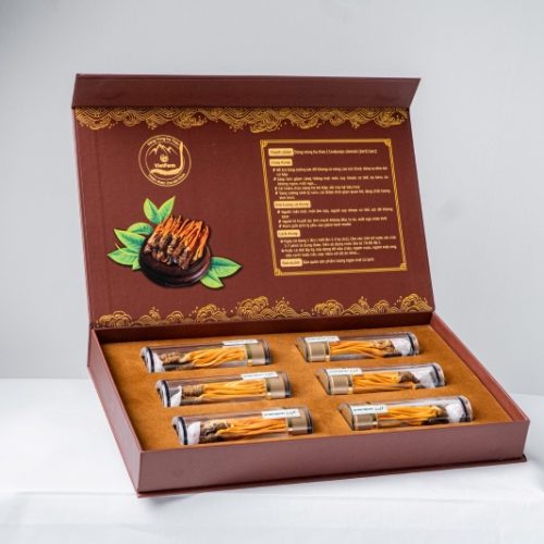 Hộp đông trùng hạ thảo