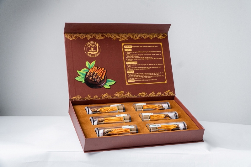 Hộp đông trùng hạ thảo