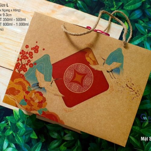 Mẫu túi giấy Kraft