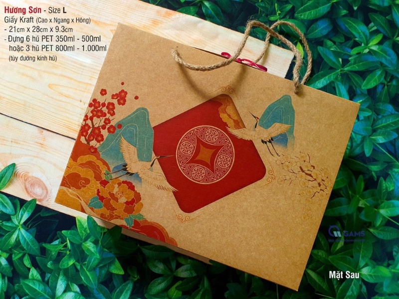 Mẫu túi giấy Kraft