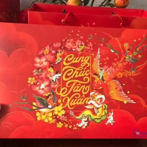 Mẫu túi giấy đựng hộp quà Tết cho doah nghiệp