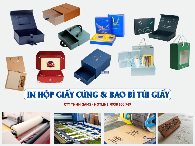 In Hộp Giấy Cứng Bao Bì Túi Giấy In Logo Theo Yêu Cầu